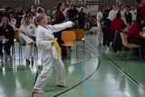 German_Open _Giebelstadt_2014_14.jpg